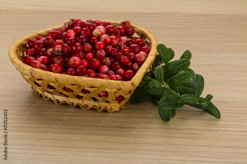 Cowberry Cowberry