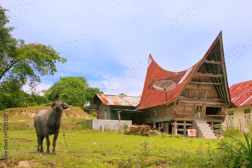 Traditional Batak house on Samosir island, Sumatra, Indonesia