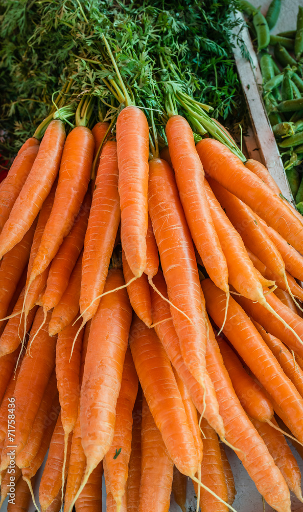 Fresh Carrots on Market Place