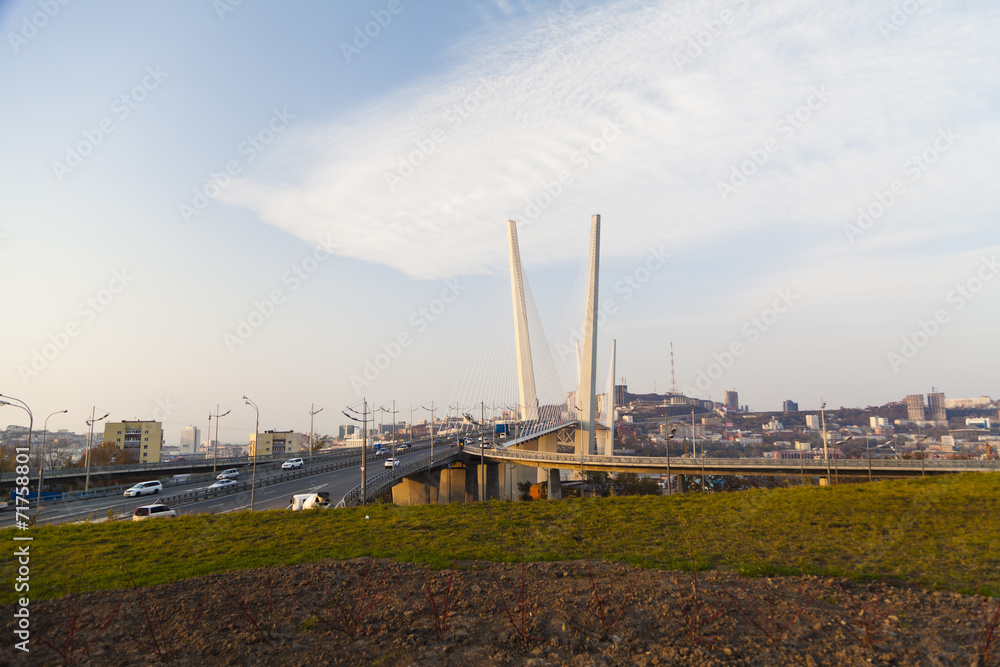 Obraz premium Big suspension bridge