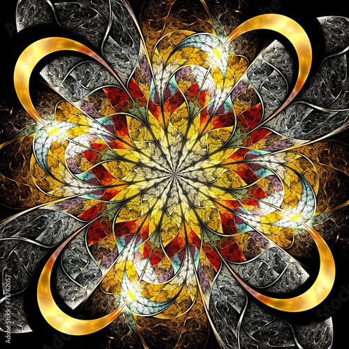 Symmetrical colorful fractal flower, digital logarithm