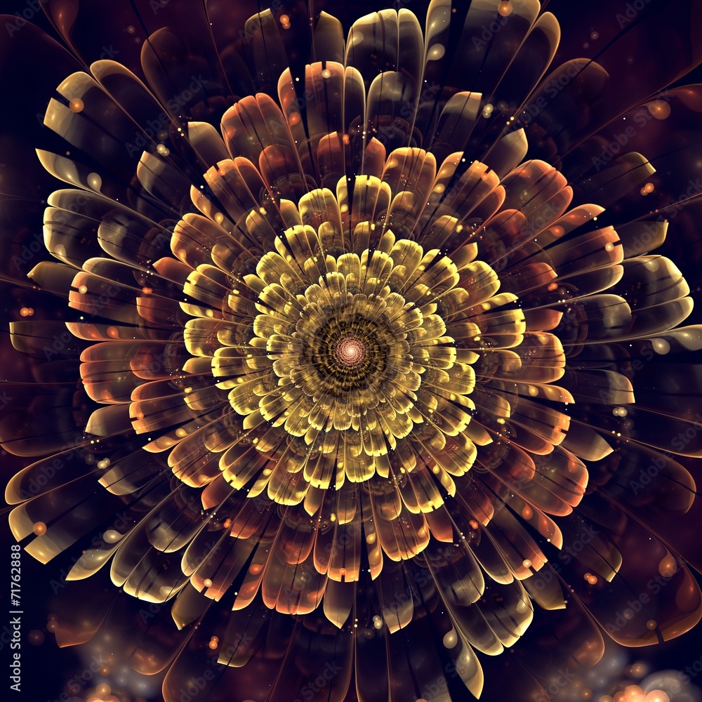 Fototapeta premium orange fractal flower with violet details on petals, on white