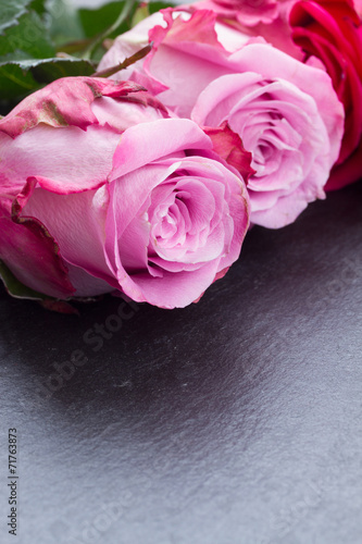 red and pink  roses  on table
