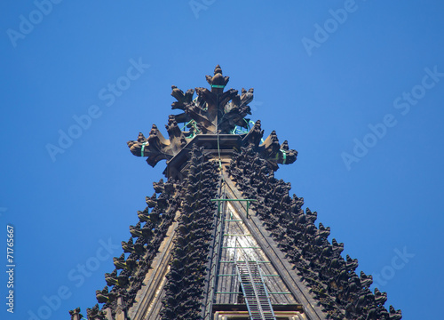 Tapety artystyczne Domspitze