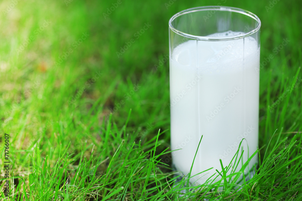 Milk in glass on grass close-up Milk in glass on grass close-up