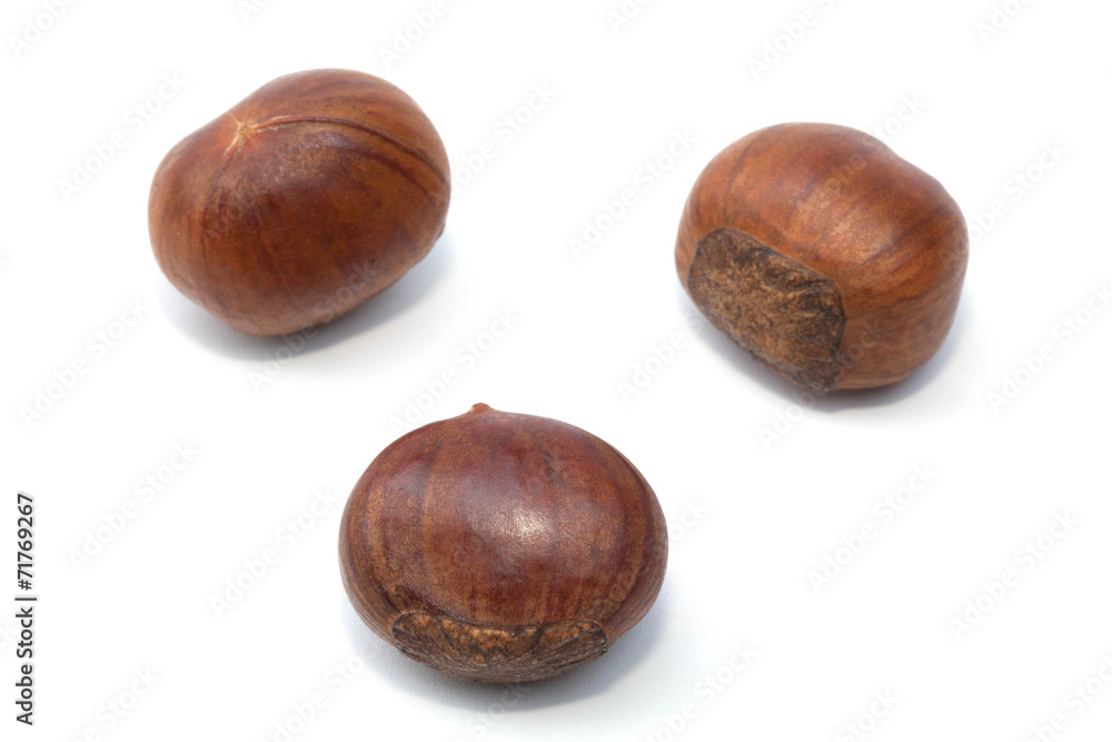 Chest nut roast isolated on the white background Chest nut roast isolated on the white background
