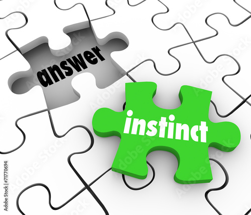 Instinct Puzzle Piece Find Answer Solve Puzzle Gut Feeling Solut photo