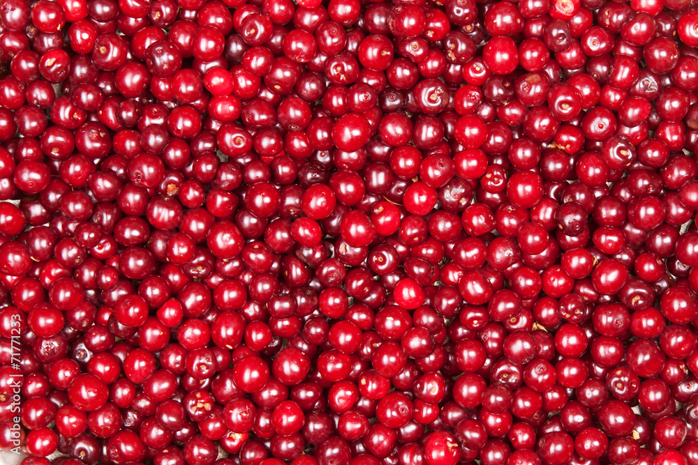 red cherry red cherry