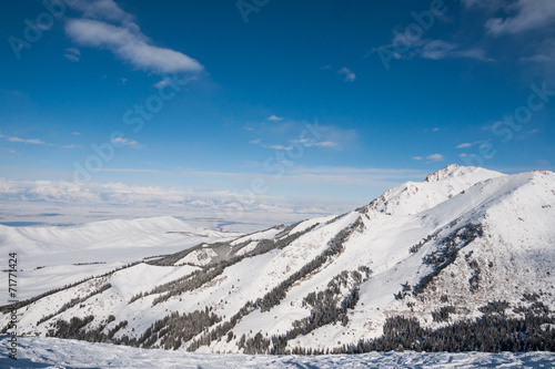 winter landscape