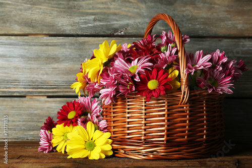 Fototapeta Naklejka Na Ścianę i Meble -  Beautiful chrysanthemum in basket on wooden background