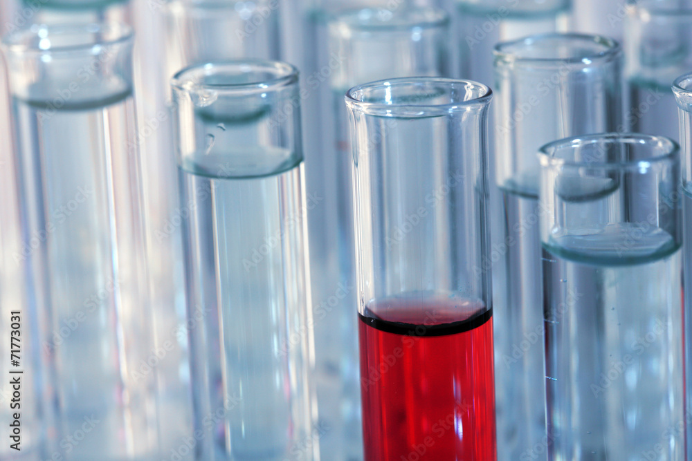 Test tubes on gray background Test tubes on gray background