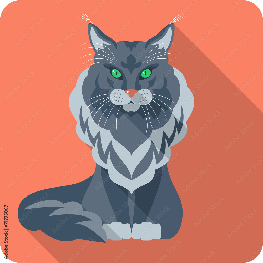 Obraz premium Vector Cat Maine Coon icon flat design