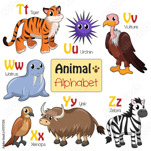Alphabet animals from T to Z