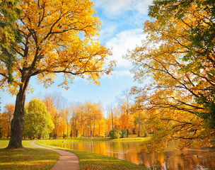 Wandcirkels Herfst Weids herfstlandschap met gouden tinten  © adisa