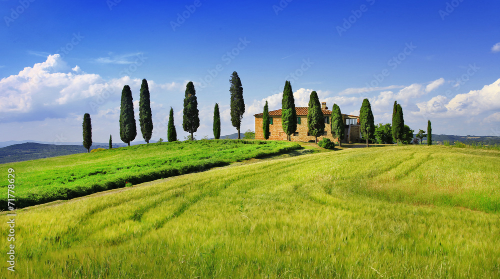 beautiful  landscapes of Toscana. Italy