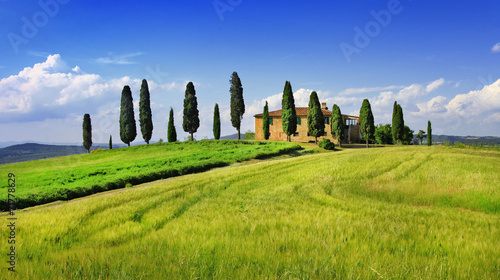 beautiful  landscapes of Toscana. Italy photo