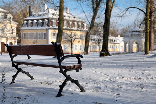 Bank im Staatspark Wilhelmsbad photo