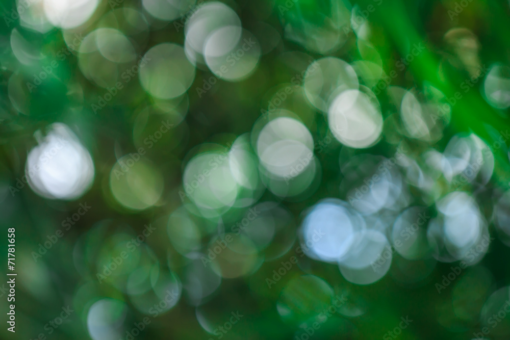 Abstract natural green blurred background Abstract natural green blurred background
