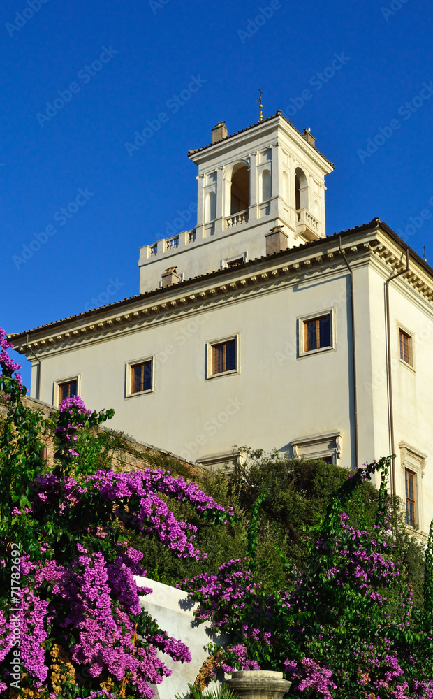 Pincio - Villa Medici vista da Viale Trinità dei Monti