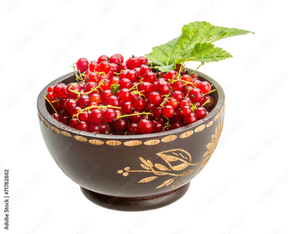 Red currant Red currant