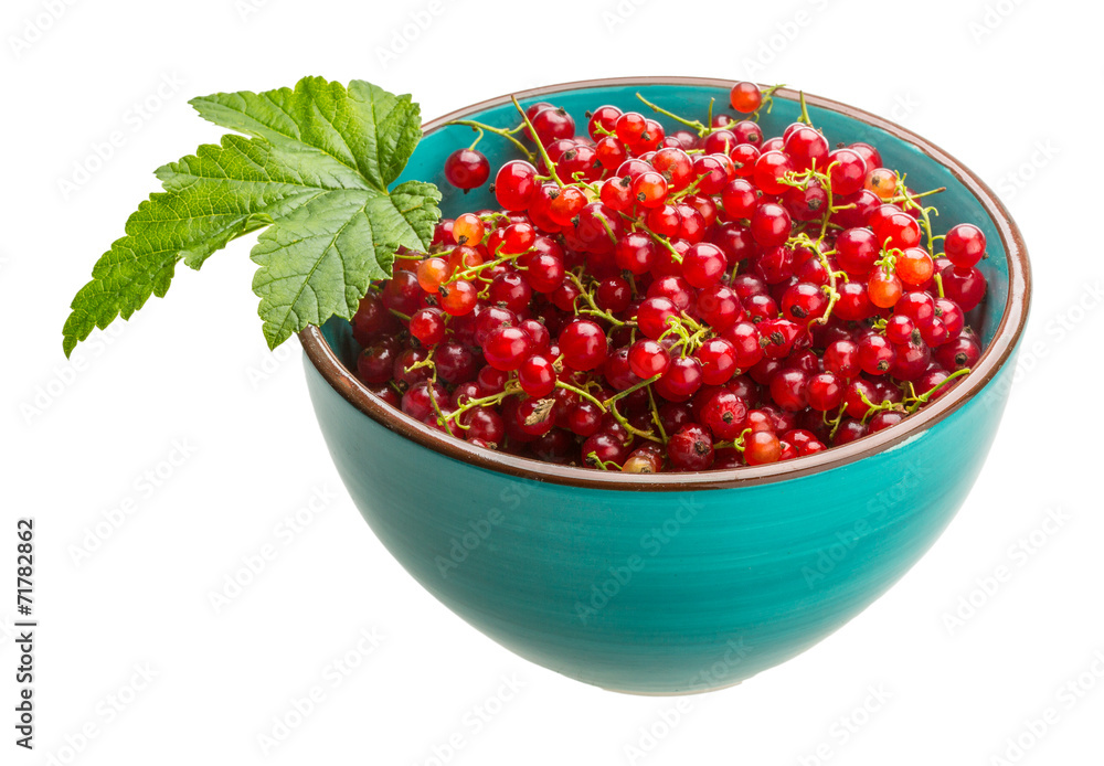 Red currant Red currant