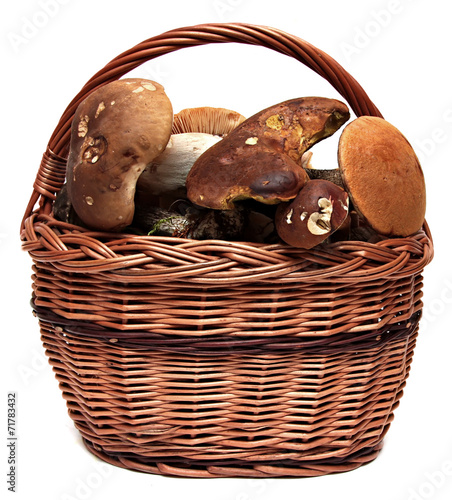 Basket of wild mushrooms isolated on a white background.