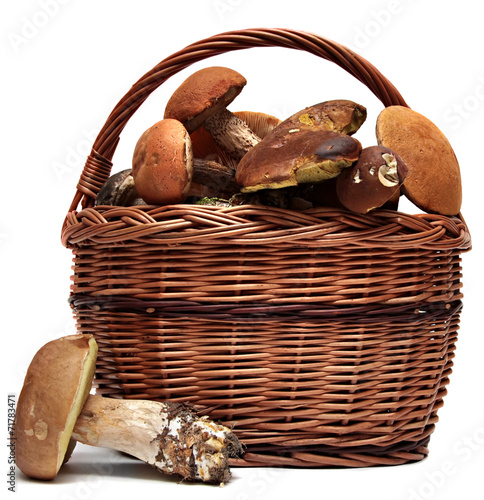 Basket of wild mushrooms isolated on a white background.