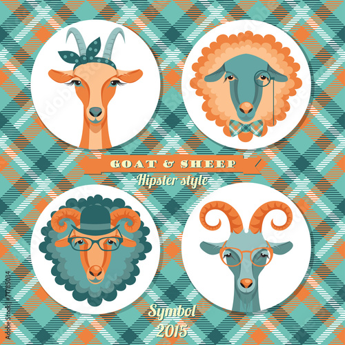 Vector illustration of goat and sheep, symbol of 2015. Hipster s photo