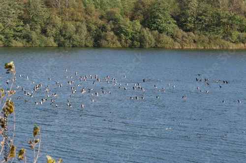 Wallpaper Mural Mechower See 3 Torontodigital.ca