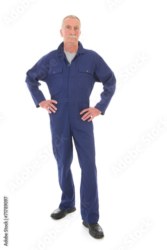 Obraz na plátně man in blue overall