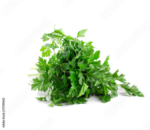 parsley isolated