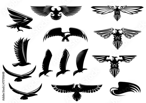 Eagle, falcon and hawk birds set