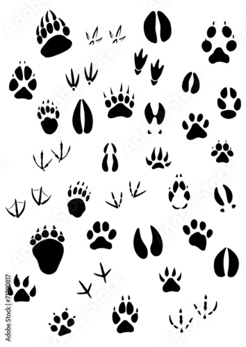 Animal footpints set