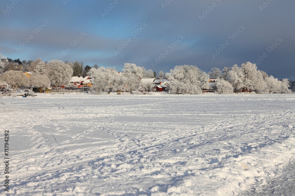 Frozen lake