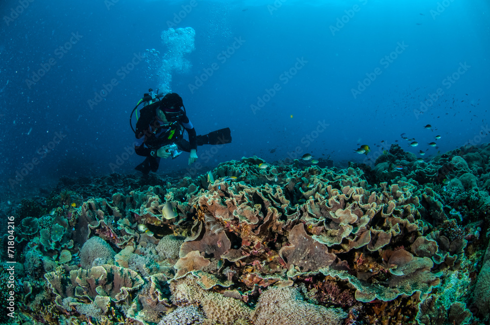 Diver swimming in Gili, Lombok, Nusa Tenggara Barat underwater