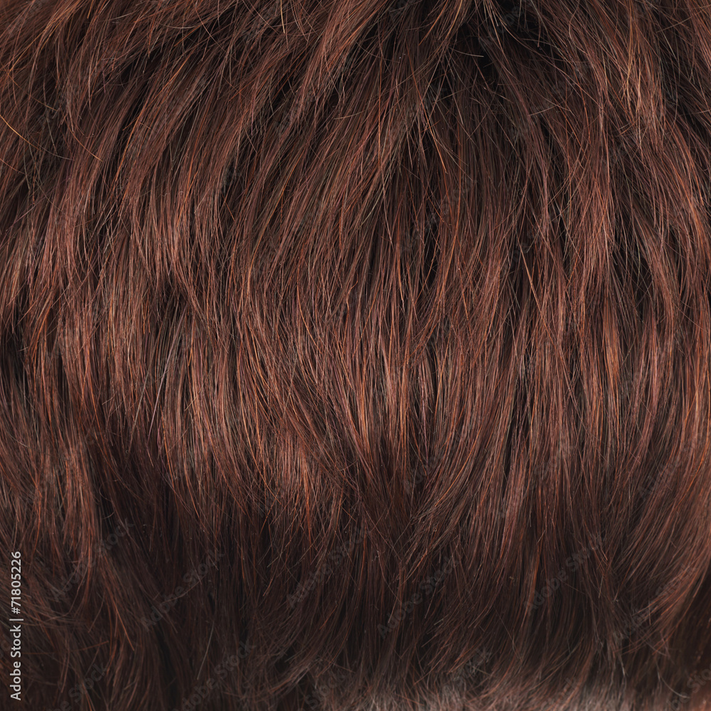 Fototapeta premium Hair fragment as a background composition