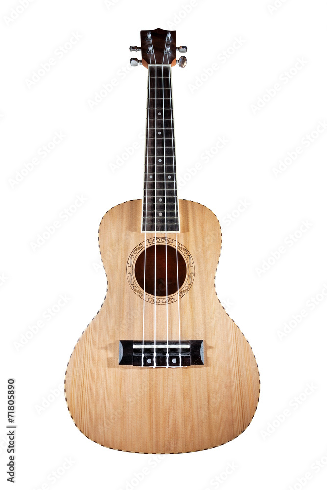 Obraz premium Ukulele