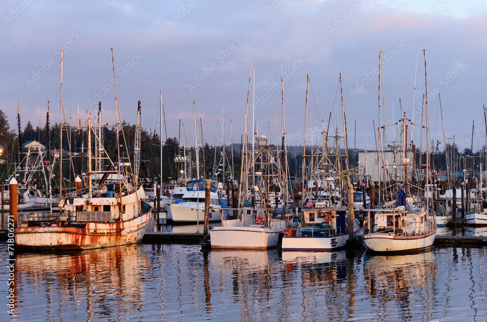 Fototapeta premium Commercial and private fishing boats at dock in Charleston OR