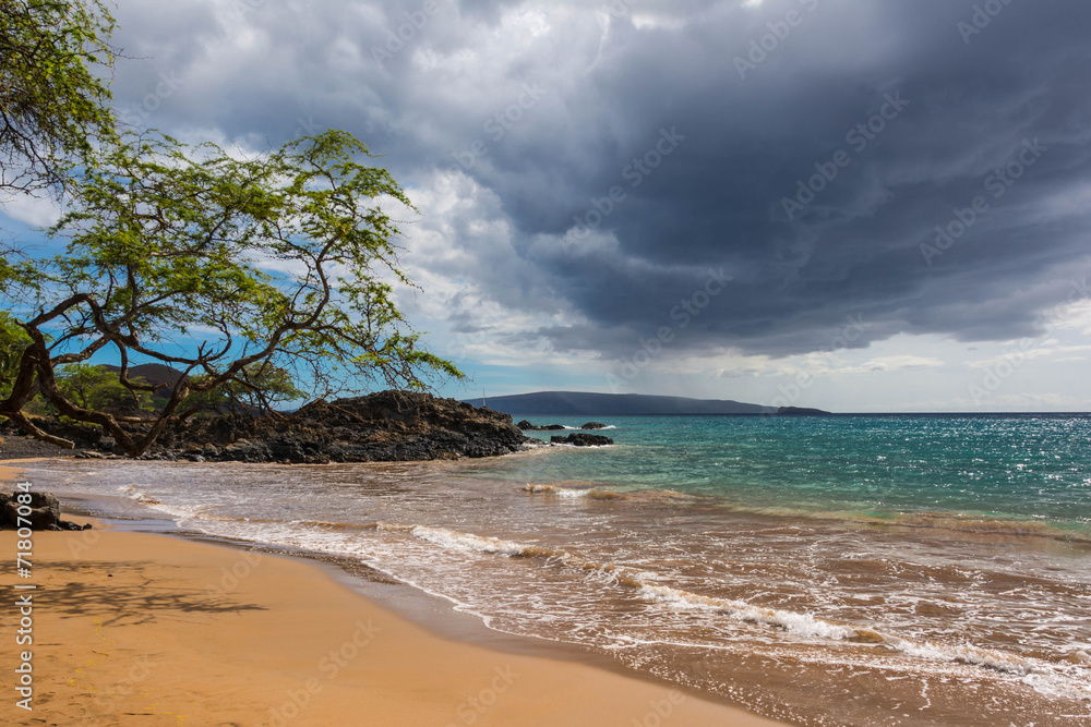 The beach in Maui, Hawaii
