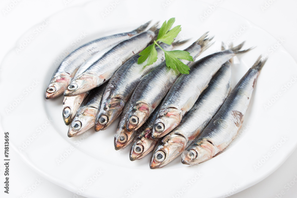 Fresh anchovies in a dish Fresh anchovies in a dish