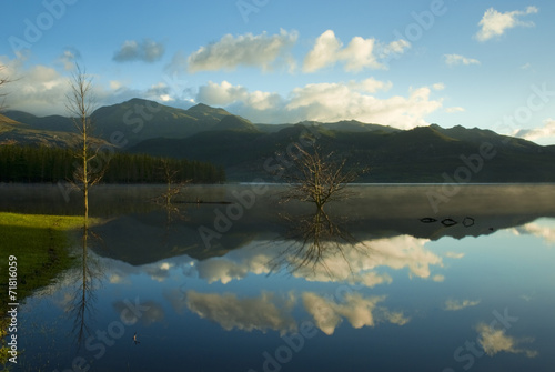 Clear reflecting lake with tree and clouds