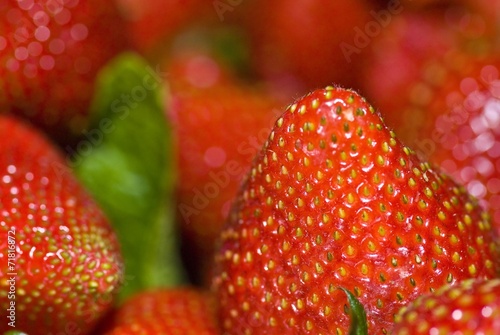 Close up shot of strawberries filliing the frame photo