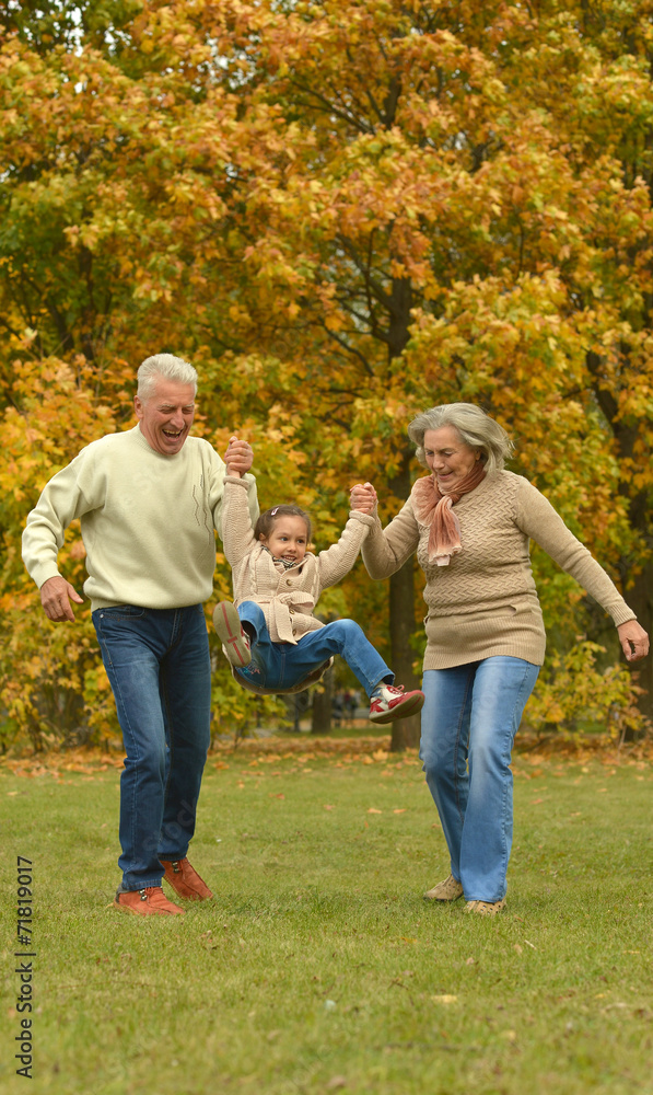 Fototapeta premium Grandparents and grandchild