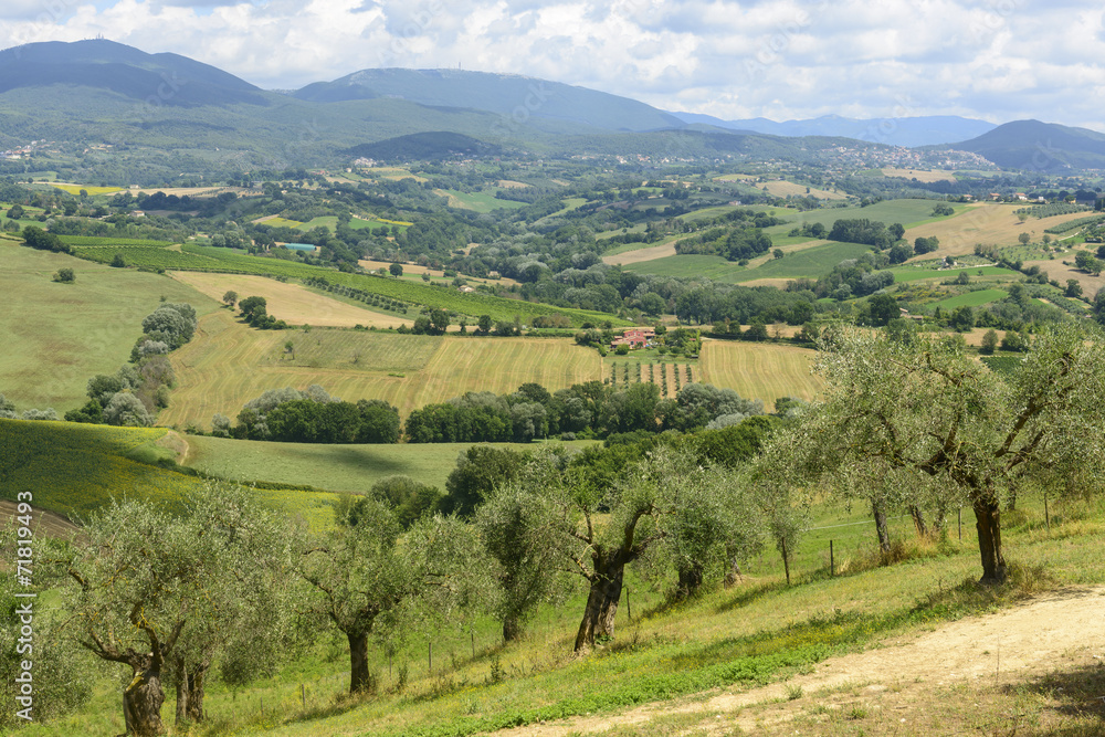 Obraz premium Summer landscape in Umbria (Italy)