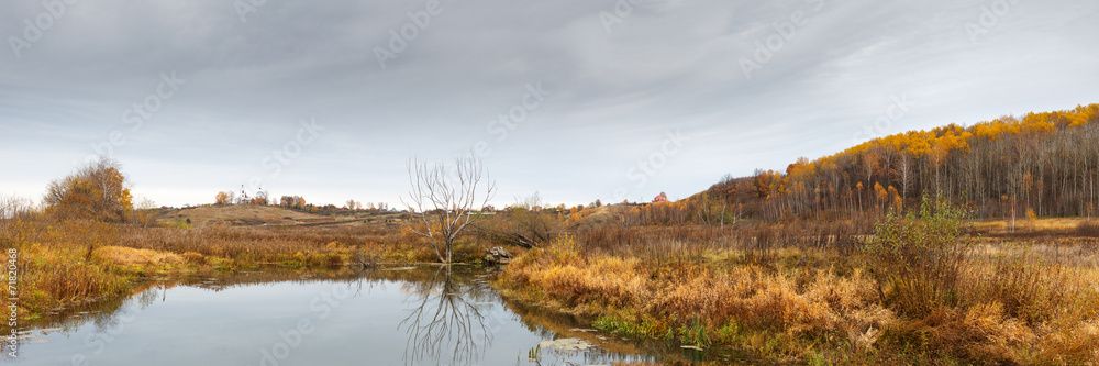 Fototapeta premium landscape with forest lake in autumn rainy day