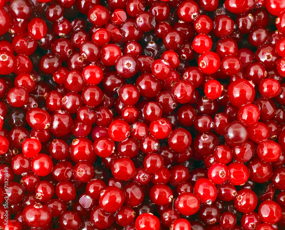 cranberry cranberry