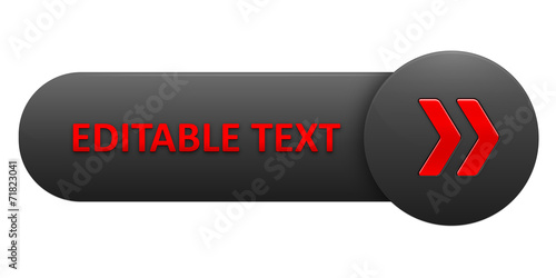 VECTOR BUTTON with EDITABLE TEXT (red arrows)