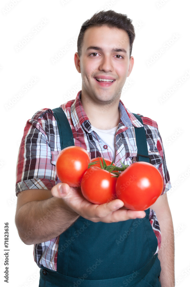 Junger Gärtner zeigt frische Tomaten Junger Gärtner zeigt frische Tomaten
