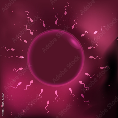 illustration of sperm and egg cell.