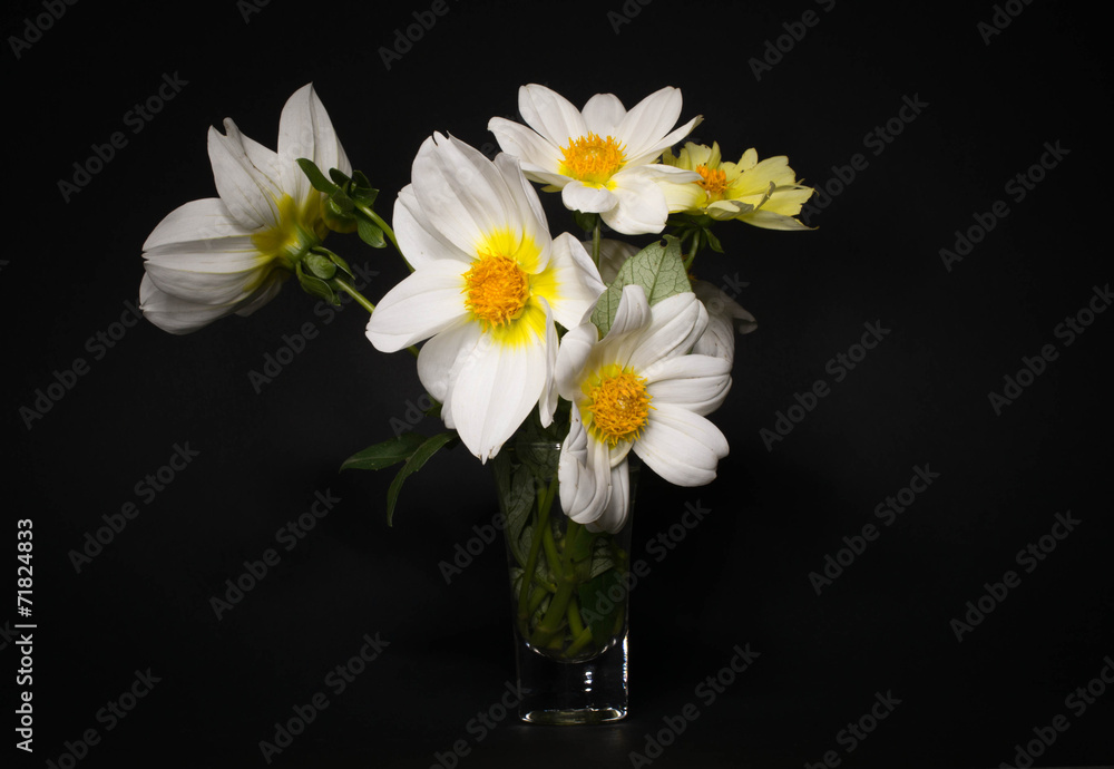 beautiful autumn white flowers beautiful autumn white flowers